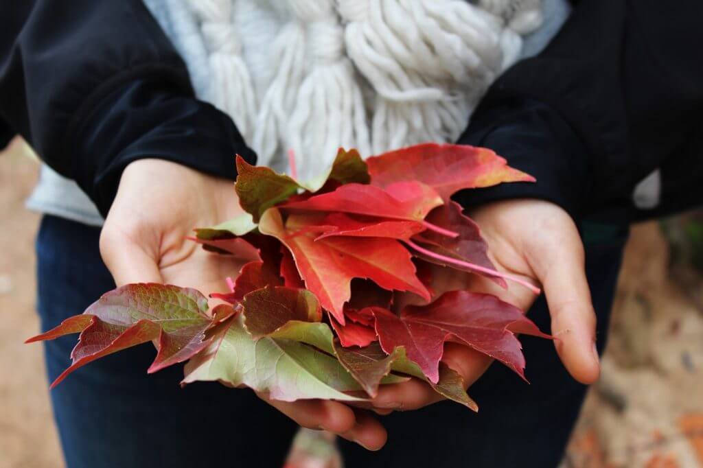 Pourquoi ne pas profiter de l’automne pour augmenter son bien être et booster sa santé à peu de frais ?