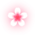 logo-fleur-halo-150